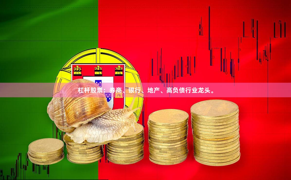 杠杆股票：券商、银行、地产、高负债行业龙头。