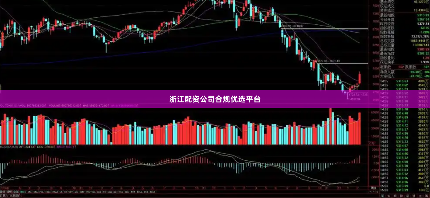 浙江配资公司合规优选平台